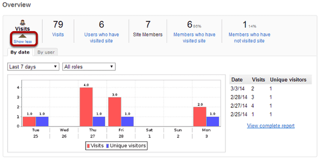 How do I view summary reports in the Statistics tool?